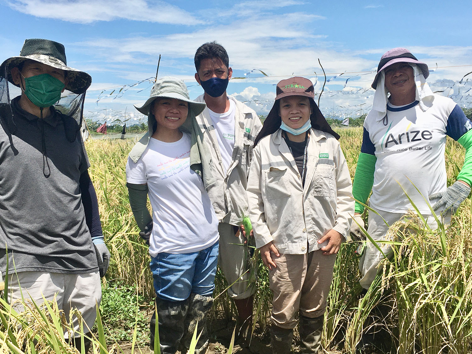 Field Trial Shows Opportunity For Filipino Rice Farmers To Plant ...